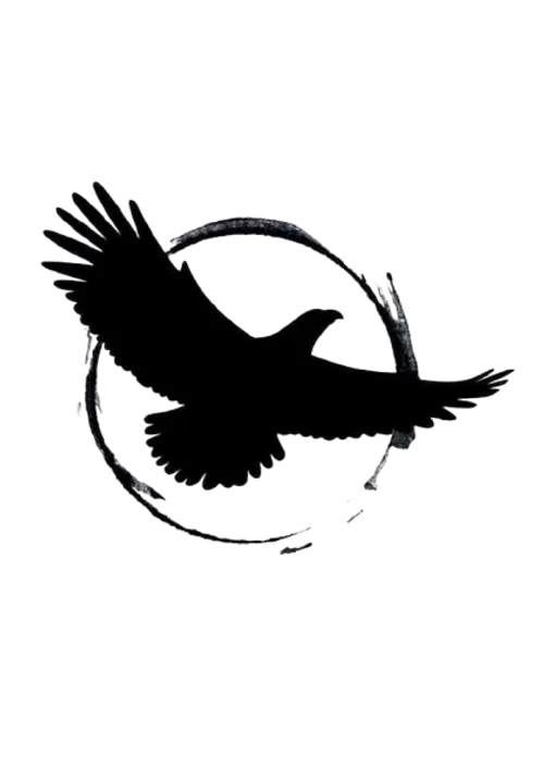 Artist Image