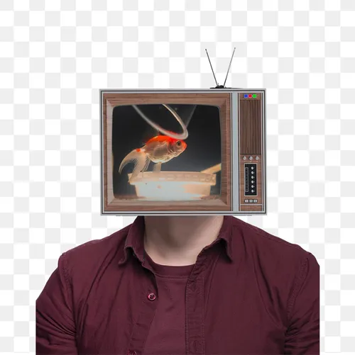 Artist Image
